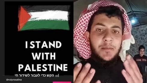 Contenido pro palestino en TikTok   