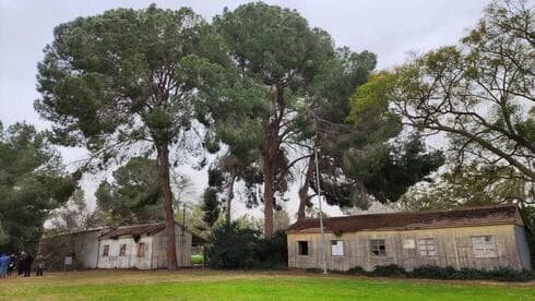 Era el criador de ganado más destacado del país y con él conseguimos los terneros para iniciar nuestro rebaño. (Ynet) Era el criador de ganado más destacado del país y con él conseguimos los terneros para iniciar nuestro rebaño.