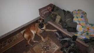 Cazar terroristas es un trabajo agotador.