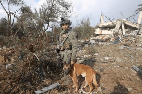 El uso de perros en la guerra, no es nada nuevo para las FDI en servicio activo. (Yariv Katz) El uso de perros en la guerra no es nada nuevo para las FDI en servicio activo.