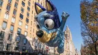Bluey