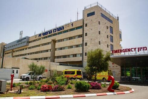 MalekTeam comparte información médica sensible, como registros sanitarios, que datan de 2020 a 2023.