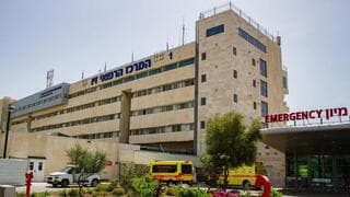 MalekTeam comparte información médica sensible, como registros sanitarios, que datan de 2020 a 2023.