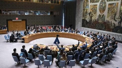 Consejo de Seguridad de Naciones Unidas. 