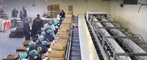Instalación de una producción de dátiles en Israel. 