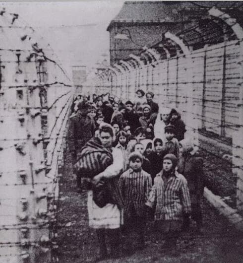 Experimentos con gemelos realizados por los nazis durante el Holocausto. 