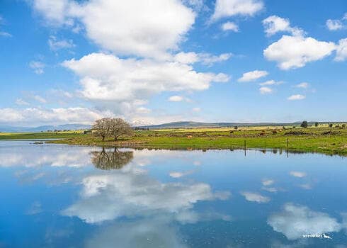 Impresionante vista de los Altos del Golán. 