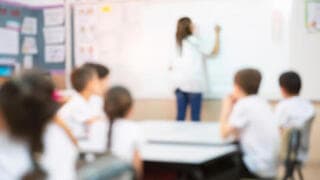Existen grandes brechas en la población respecto de la educación religiosa. 