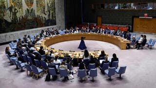 Reunión del Consejo de Seguridad de las Naciones Unidas. 