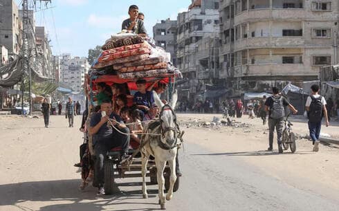 Refugiados palestinos en el norte de la Franja de Gaza. 