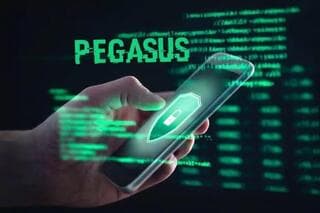 Pegasus, software espía ilegal. 