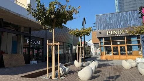 Centro comercial Big Glilot