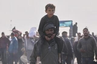 Palestinos intentan regresar al norte de Gaza. 