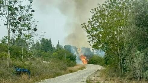El incendio en la entrada de Moshav Tarom. 