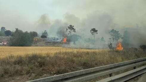 Incendios forestales en Israel