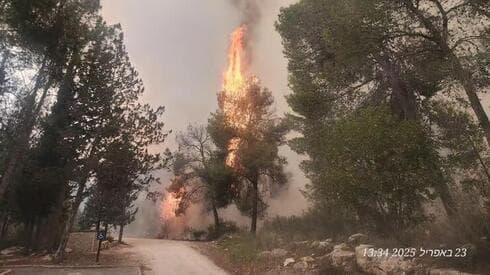 Incendio en el bosque de Eshtaol