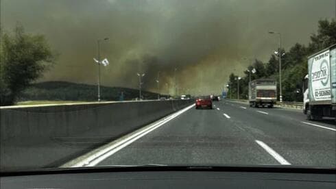 Incendios forestales en Israel. 