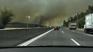Incendios forestales en Israel. 