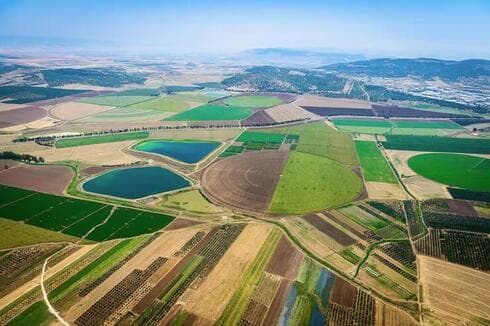 Los campos del valle de Jezreel. 