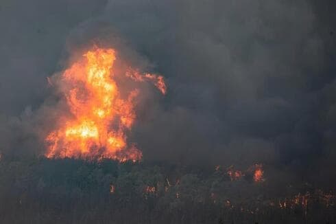 Incendios en Israel. 
