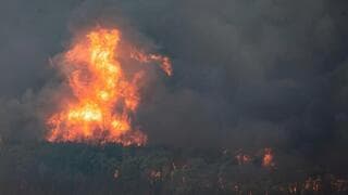 Incendios en Israel. 