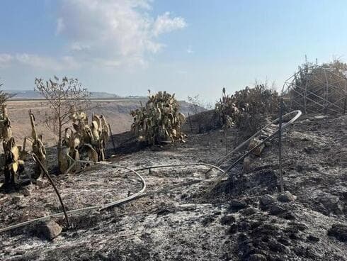 La granja después del fuego. La idea no sólo es rehabilitar lo que fue sino crear un espacio aun mejor. (Ynet) La granja después del fuego. La idea no sólo es rehabilitar lo que fue sino crear un espacio aun mejor.