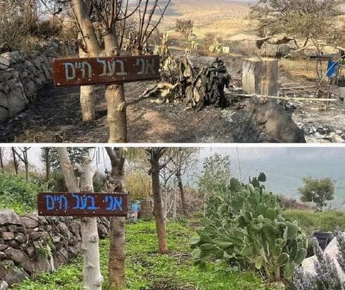 "Jardín de la Vida", antes y después del fuego. 