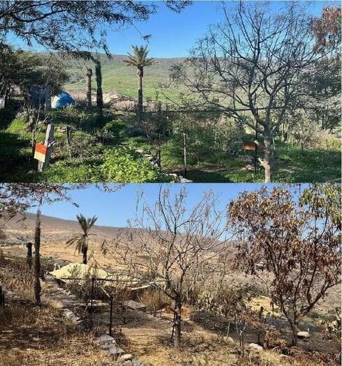 "Una isla de cordura en medio de nuestra compleja realidad". 