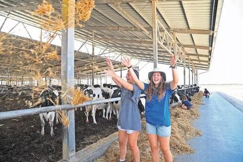 "Básicamente estamos diciendo: esperen, paren todo. Algo sucedió en este país." (Herzl Yosef) "Básicamente estamos diciendo: esperen, paren todo. Algo sucedió en este país."