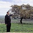 צילום: באדיבות מועצת יבנאל