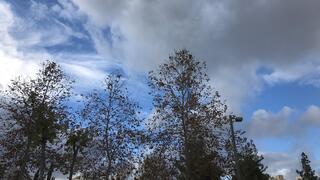 צילום: רועי אלמן