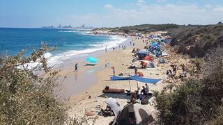 חוף פלמחים