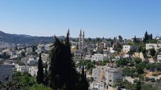 אבו גוש