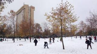 גן העצמאות, שישי, 13.12.2013