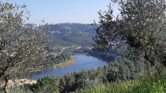 סכר בית זית