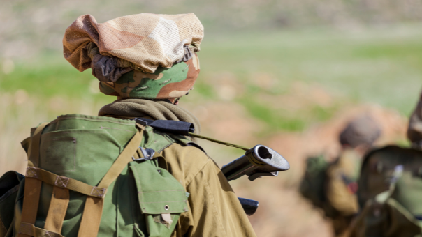 הגן על המדינה