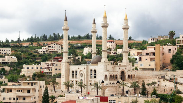 אבו גוש