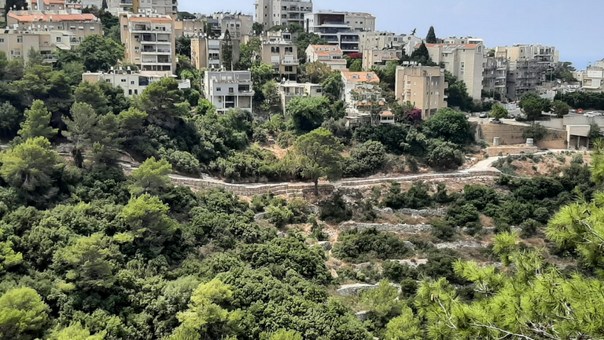 מאיפה יירדו הכבישים? כרמליה