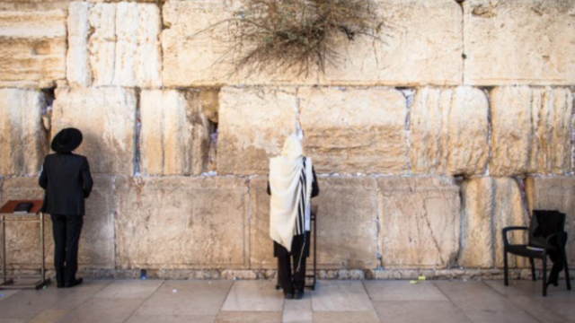 סליחות בכותל המערבי