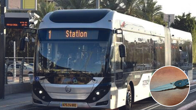 מטרונית