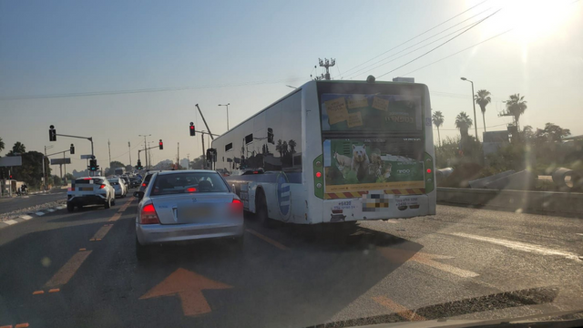 אוטובוס אפיקים פתח תקוה