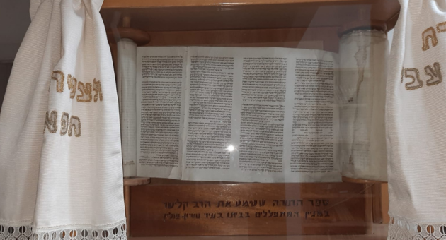 ספר התורה מקיבוץ טירת צבי