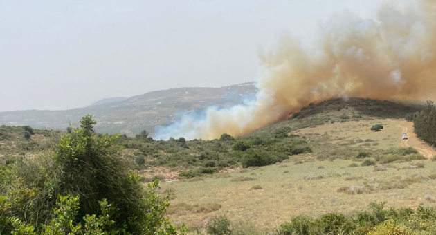 שריפה בהר טורען