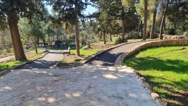 יער קהילתי רמות