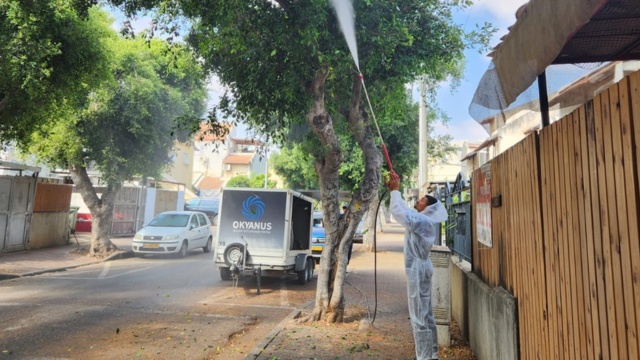 פיילוט טיפול בפירות עצי הפיקוס