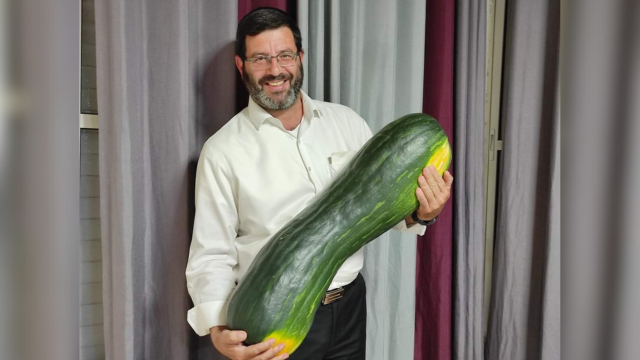 הדלעת הענקית בידיו של ירון קדושים