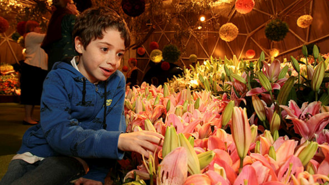 תערוכת הפרח 2012