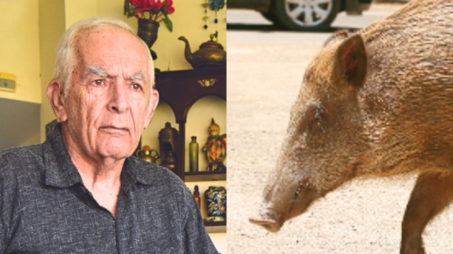 לעקר ולהרוג. אבינועם לוריא