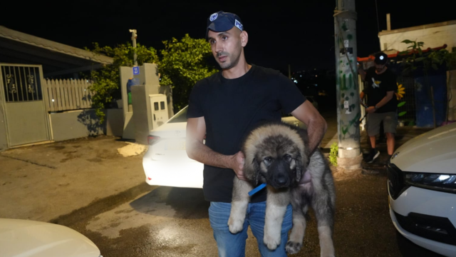 חילוץ הכלבים מכפר יפיע