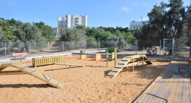 אחת מגינות הכלבים בנוף הגליל 